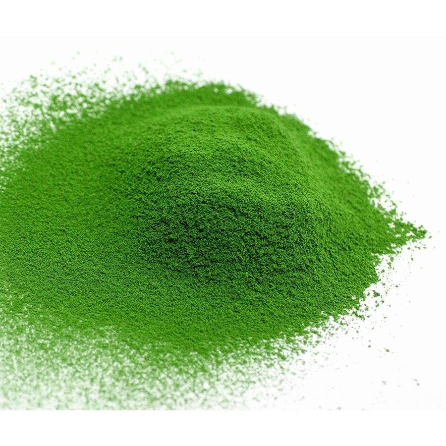 Marukyu Koyamaen Premium Ceremonial Grade Matcha #1 in Japan