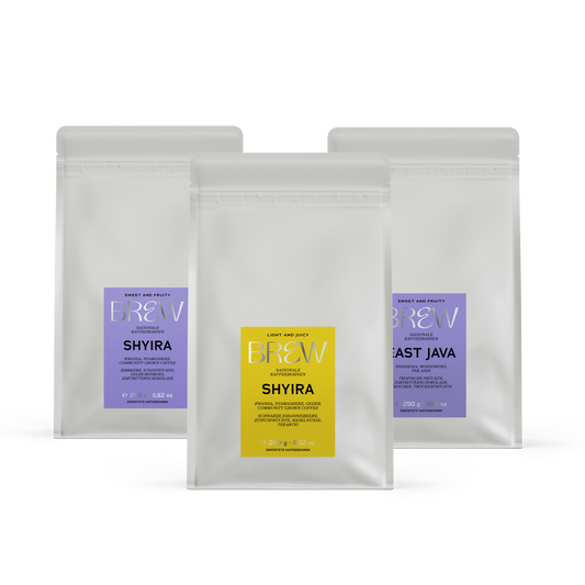 Fruit Forward Bundle